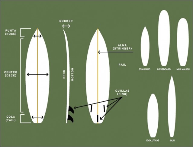 CONSEJOS Rompiente Norte, HOY… PARTES DE LA TABLA DE SURF.